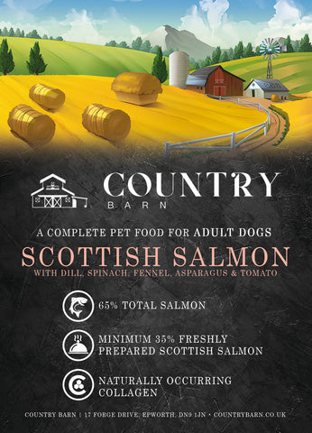 Mini Pack Scottish Salmon