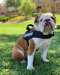 PowerFit Dog Harness